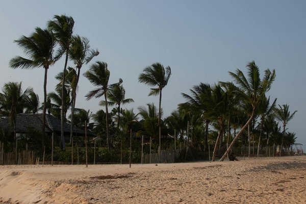 Croisière magique à saint-pétersbourg : découvrez les joyaux cachés de la ville